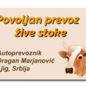 Prevoz žive stoke Autoprevoznik Dragan Marjanović Ljig