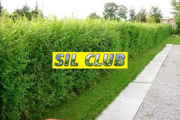 Sil Club Senta doo Čudesna živa ograda logo